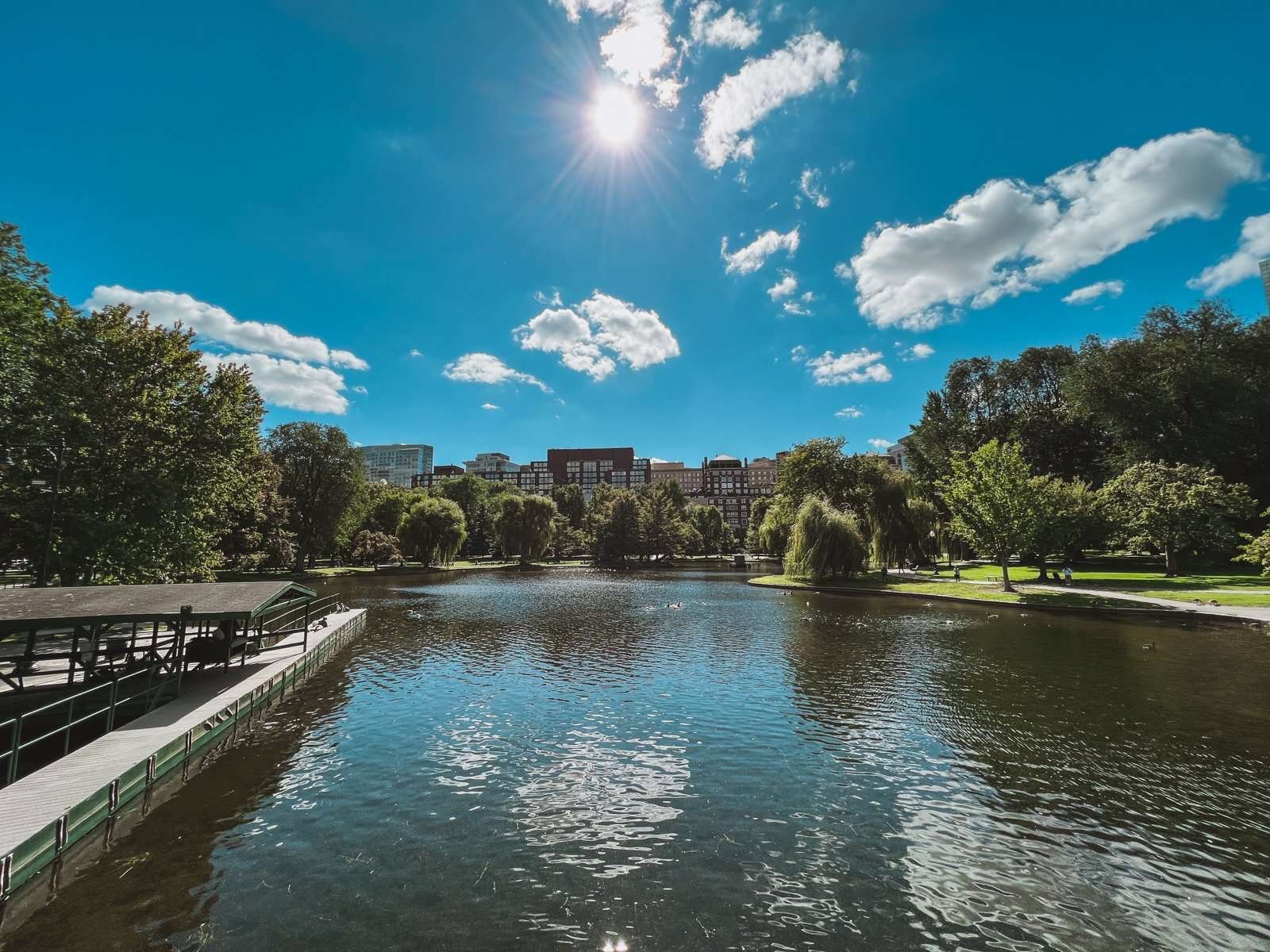 boston public garden boston walking tour